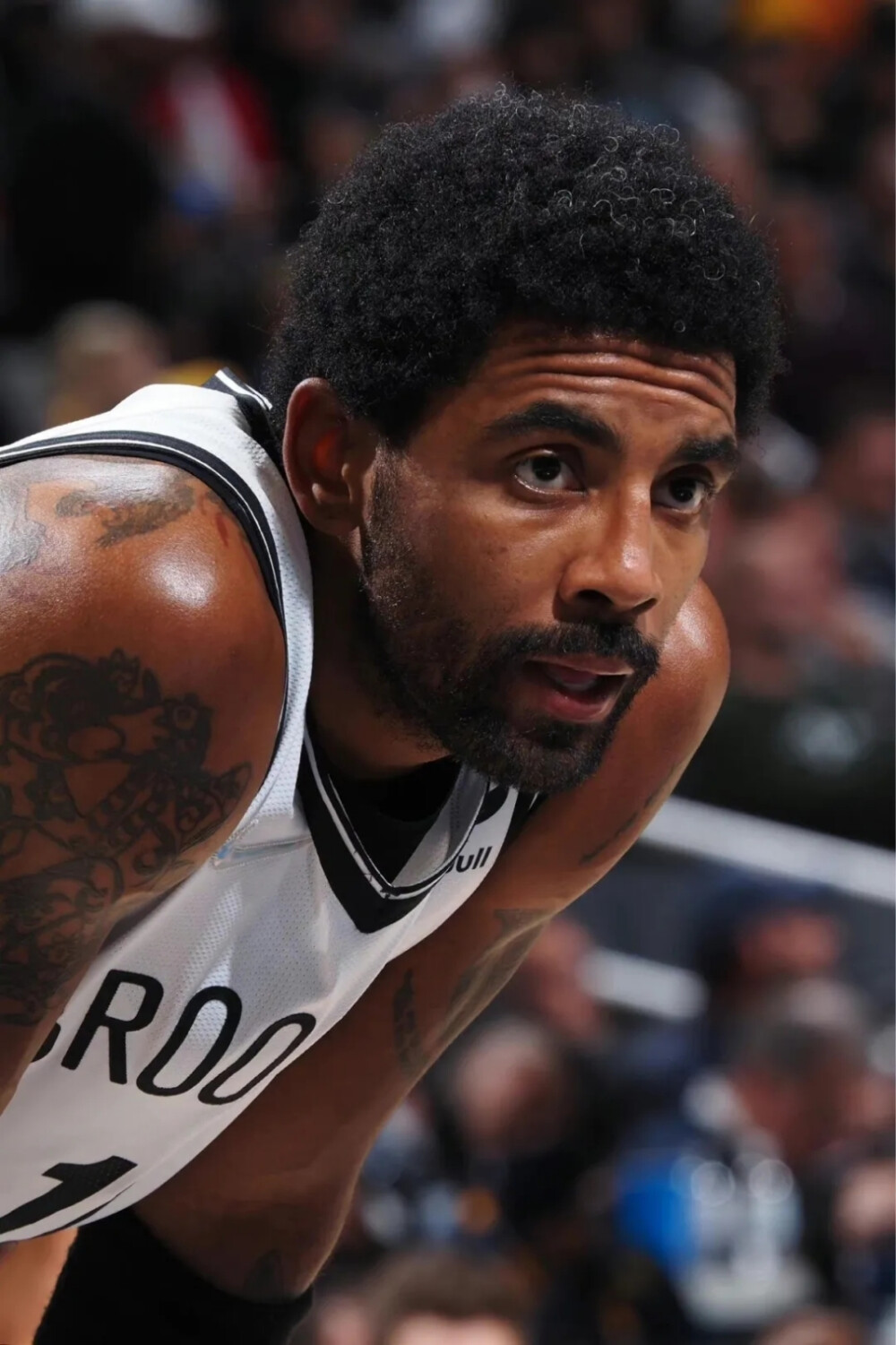 在提供数字 在提供数字