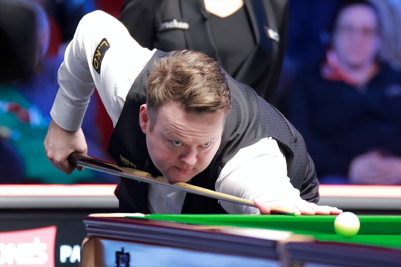 型的多样性 型的多样性